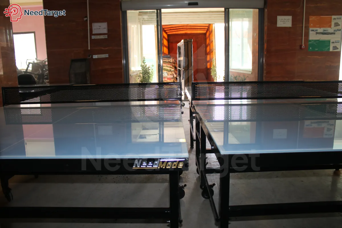 میز پینگ پنگ پارکی تاشو نیدمد